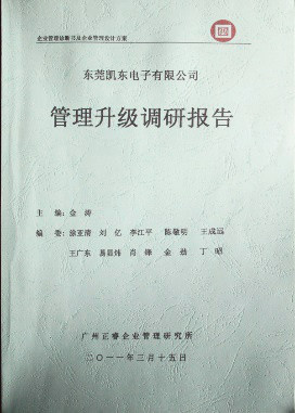 2011年3月15日，正睿咨詢專家向凱東決策層陳述調(diào)研報(bào)告