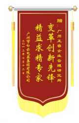 白云電氣集團(tuán)贈(zèng)送正睿咨詢變革創(chuàng)新先鋒，精益求精專家錦旗